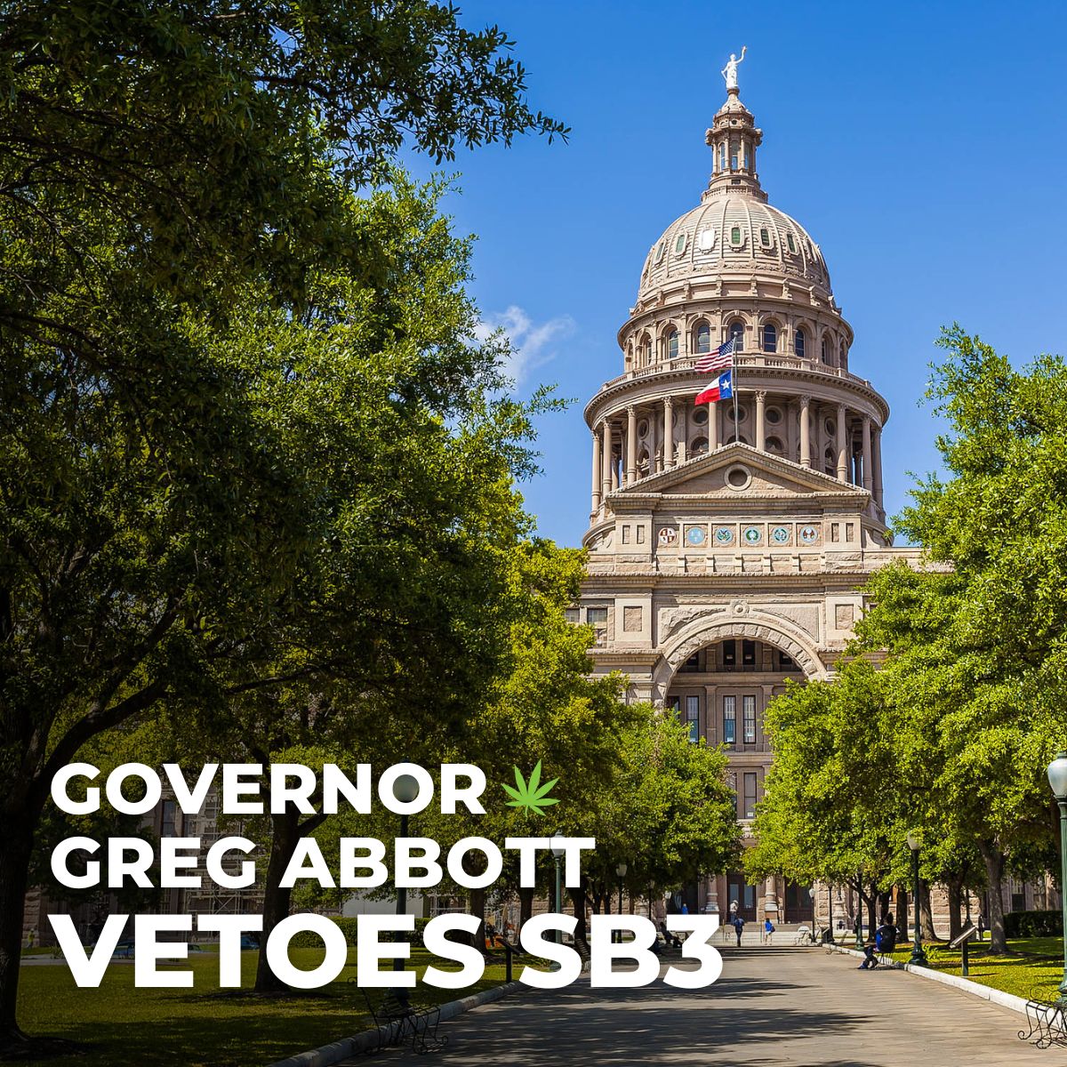 Blog - SB3 June 2025 Governor Abbott Vetoes SB3 - Hemp for Health Team Update on Senate Bill 3